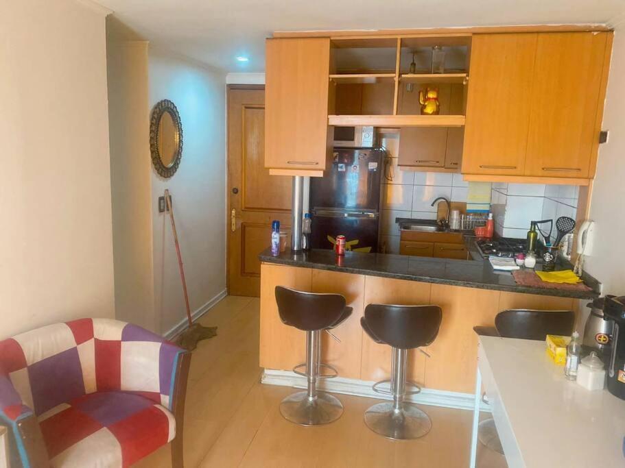 Excelente Y Acogedor Departamento Apartamento Santiago