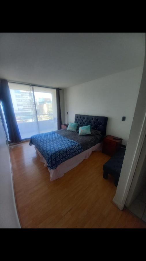 Excelente Y Acogedor Departamento Santiago