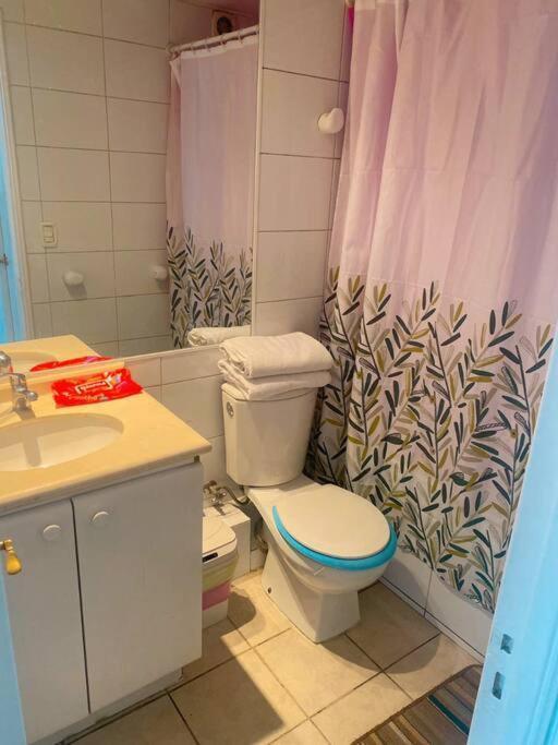 Excelente Y Acogedor Departamento Apartamento Santiago